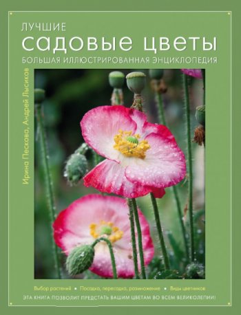 постер к Лучшие садовые цветы. Большая иллюстрированная энциклопедия