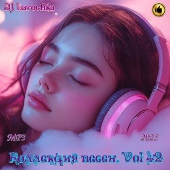 постер к DJ Larochka - Коллекция песен Vol.42 (2025) МР3